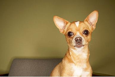 《我被美女包围》DLC倒计时预告和海报 美女让人心动